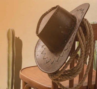 45. Międzynarodowy Piknik Country & Folk 2026 