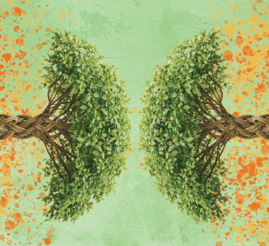 Artystyczna środa w MCK - wypleć własne drzewko  