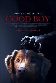 Good Boy - 2D Napisy 